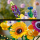 LEGO Icons 10313 Bukiet z polnych kwiatów - 1091352 - zdjęcie 5